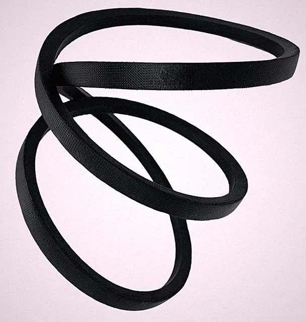 Belt Fits Coleman Powermate 007-0066 0070066 (6 Month No Hassle Warranty)